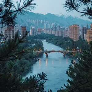 不招小飞虫小妙招